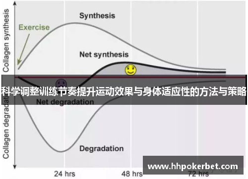 科学调整训练节奏提升运动效果与身体适应性的方法与策略